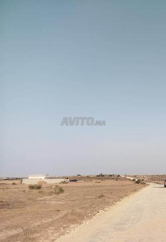 أرض فلاحية للبيع - 2