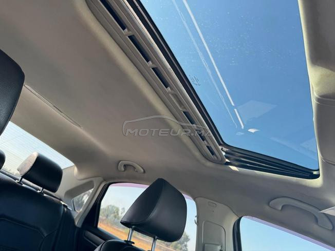 passat limousine