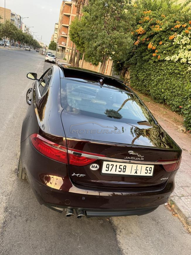 jaguar xf 2019