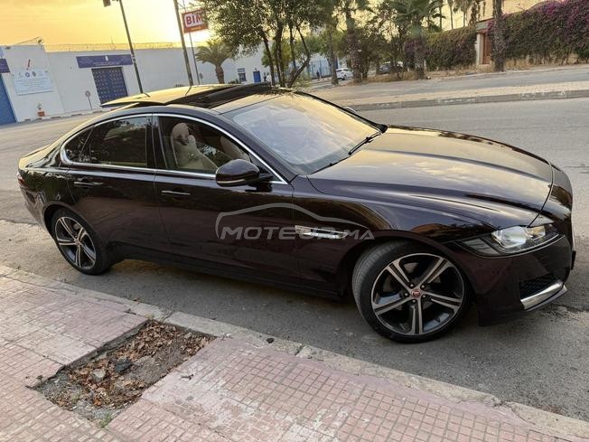 jaguar xf 2019