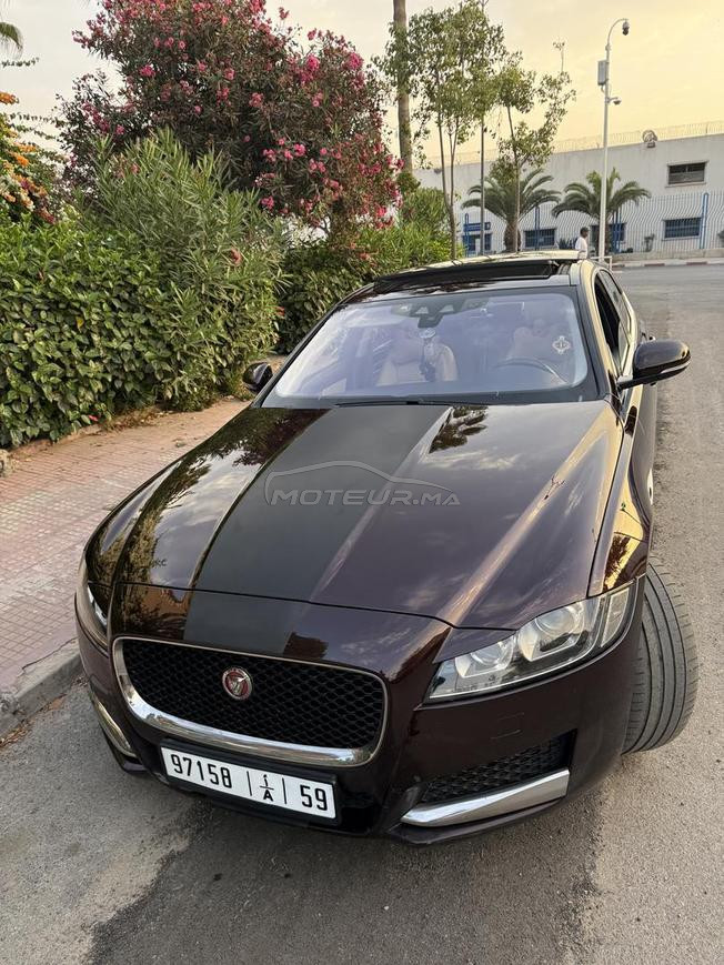 jaguar xf 2019