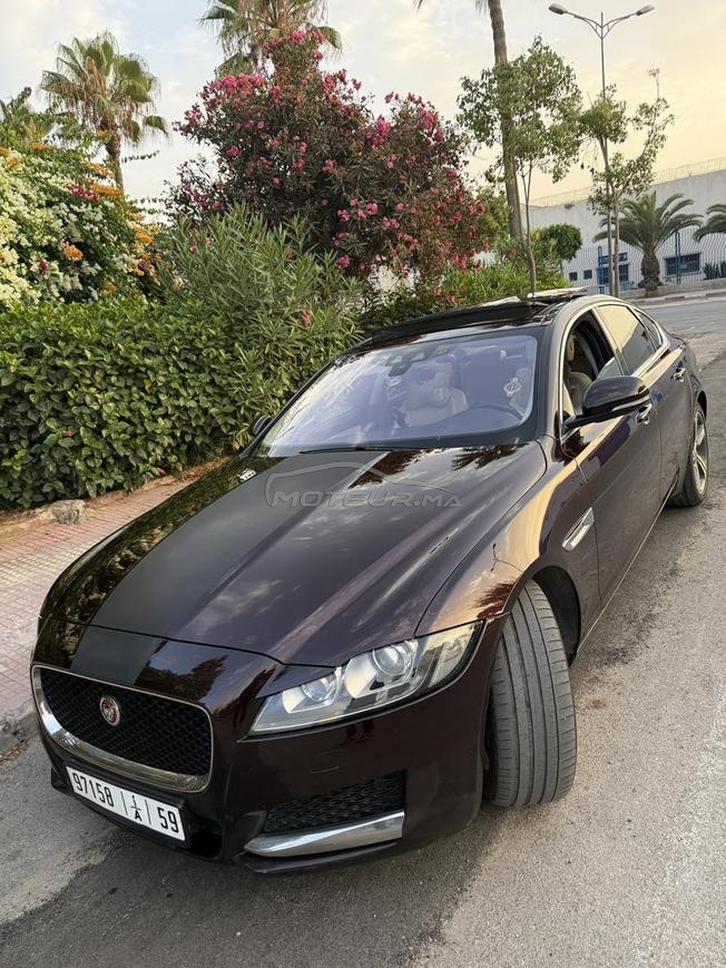 jaguar xf 2019