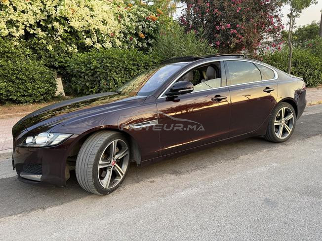 jaguar xf 2019