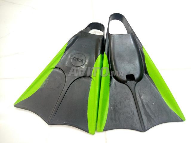 Les palmes ORCA - 2