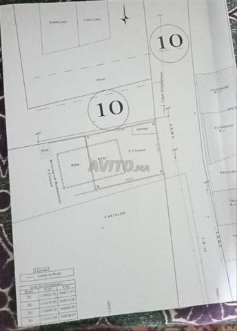 وسط المدينة - 2