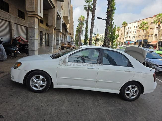 طموبيل نقي شي حاج مرحب