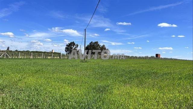 أراضي مسجلة في بير الجديد - 2