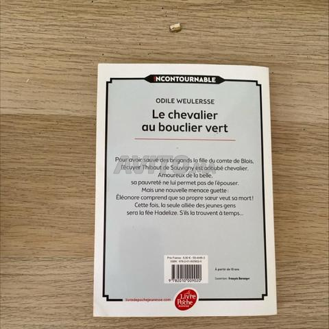 Le chevalier au bouclier vert - 2