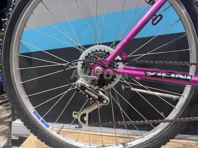 Vélo Vicini - 2