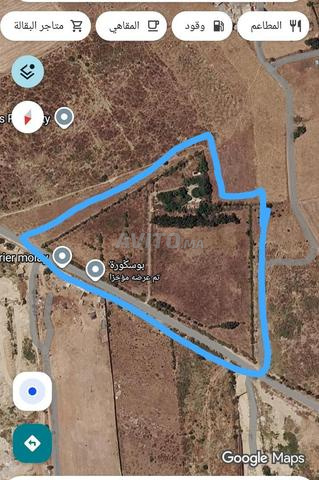 Ferme titrée à vendre Bouskoura Casablanca 2.98 hectares - 2