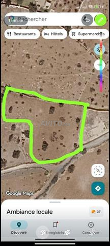 Beau terrain à vendre à 12 km d'Essaouira