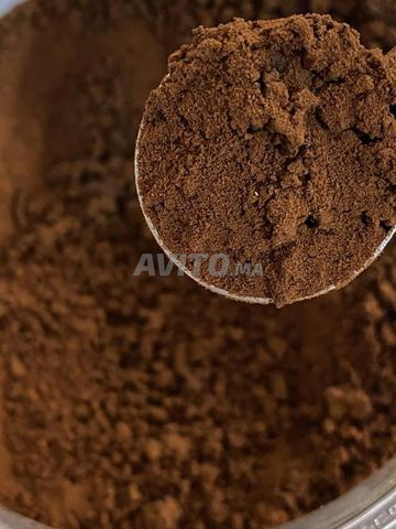 قهوة أرابيكا فاخرة بفاس العريقة ☕ - 2