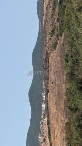 أرض سياحية للبيع بالفنيدق على واجهة البحر - 2