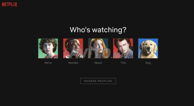 🛡️ Netflix Premium Stable – Compte Privé 4K UHD🔥