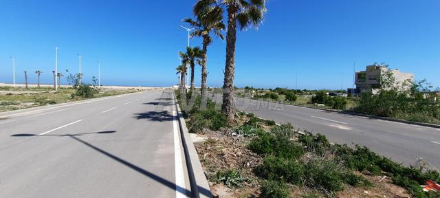 1 Lot pour villa 230 m2 vue direct sur l’océan - 2