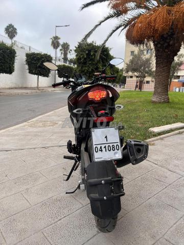 Cimatti GT5O 2025 - 2
