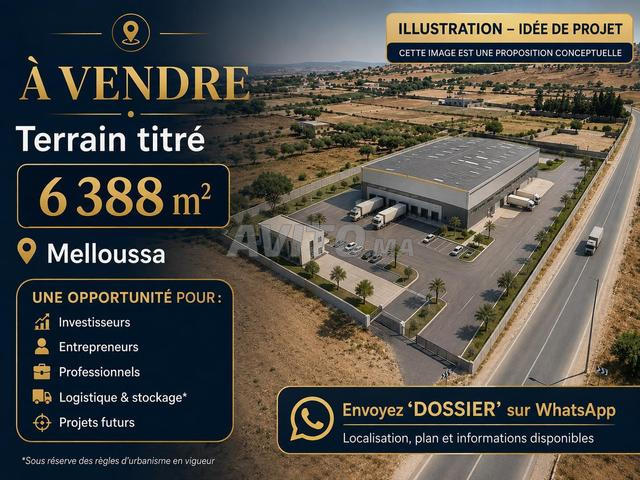 Opportunité d’investissement à Melloussa titré - 2