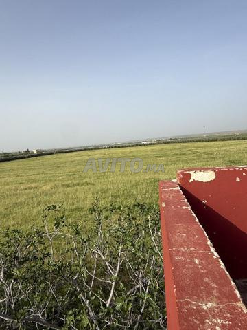 4 hectares à vendre - 2