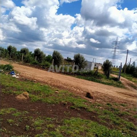 A vendre une ferme de 15 hectares - 2