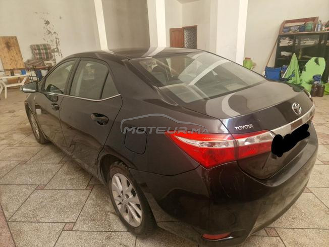 Toyota corola