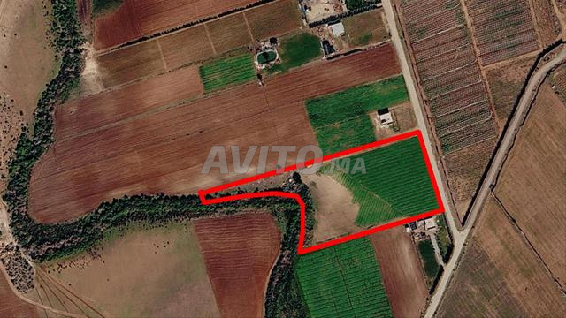 Terrain agricole titré 11 664 m² près de Bir Jdid