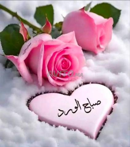 شقة جميلة 3 غرف للبيع