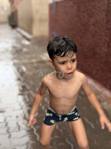 حذاء عملي محمي بالحديد للأعمال، المقاس 44 - 2
