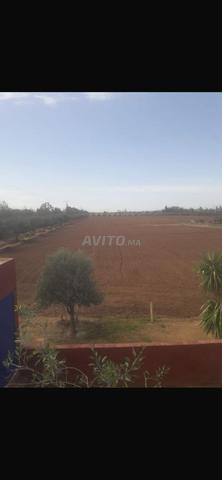 17,88 hectares titrés à Targa à vendre - 2