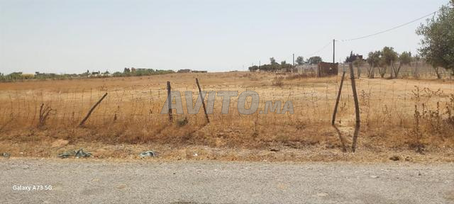 Terrain titre 16000m2 Mkam Tolba Tiflet - 2