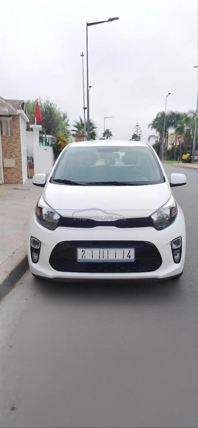 kia picanto 24