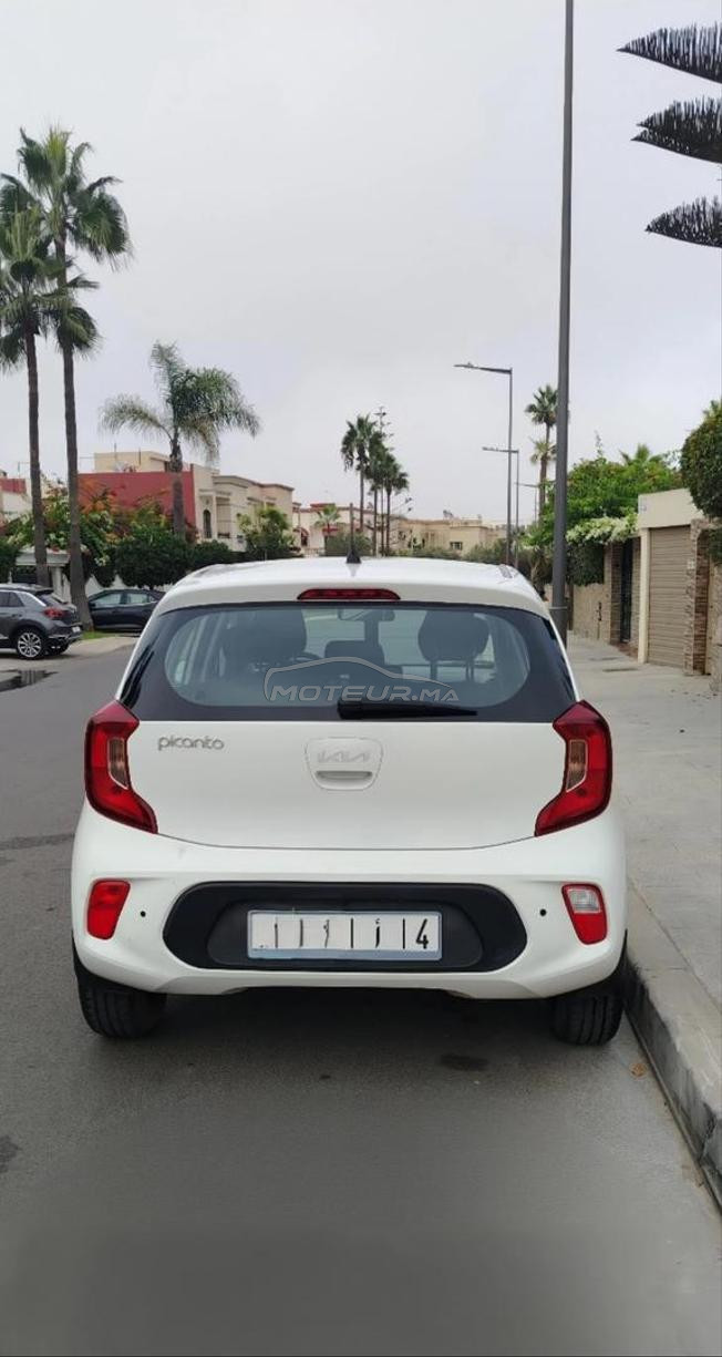 kia picanto 24