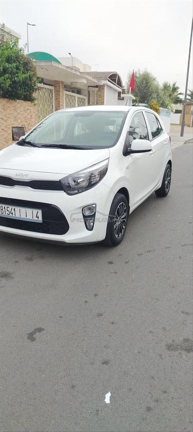kia picanto 24