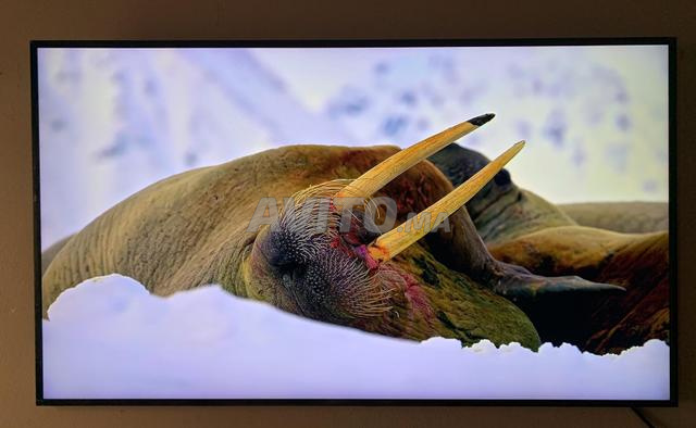 Samsung 55 Qled - 2