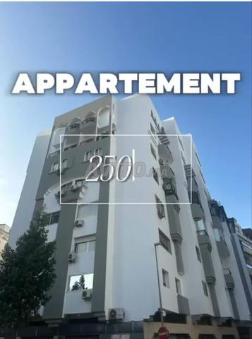 Appt à vendre 250 m² à Casa - 2