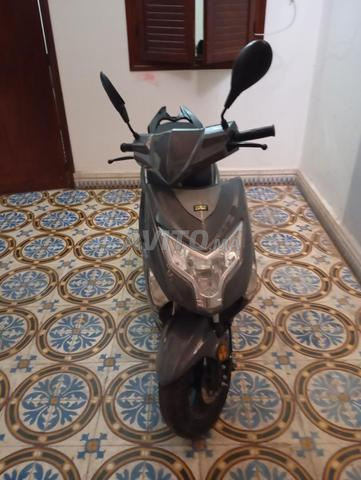 Verona 1 Moto - 2