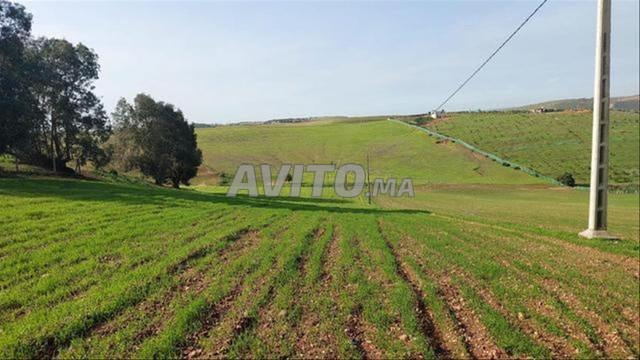 Terrains, Villas et Fermes titrés à Tnine Chtouka - 2