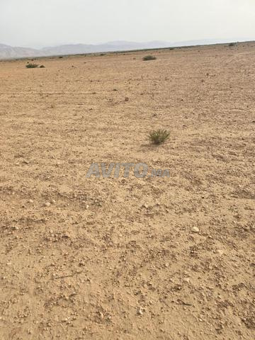 Terrain agricole à vendre 2 hectares environs Marrakech - 2