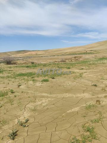 بحث عن عامل - 2