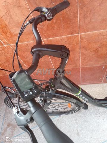Orus e-8000 - 2