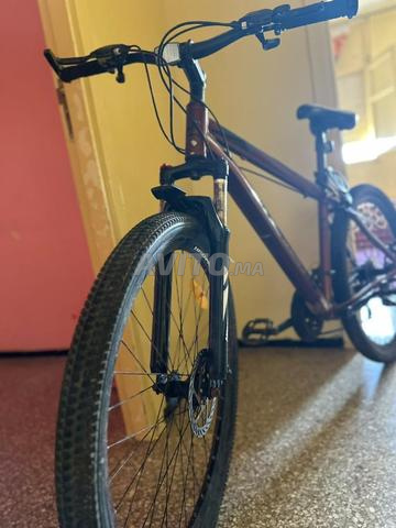 Vélo magnifique et luxueux - 2