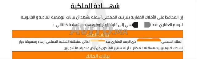 أرض فلاحية محفظة للبيع برسموكة تيزنيت 3.22 هكتار