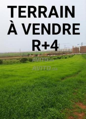 بيع أرض لبناء عمارة R4 - 2