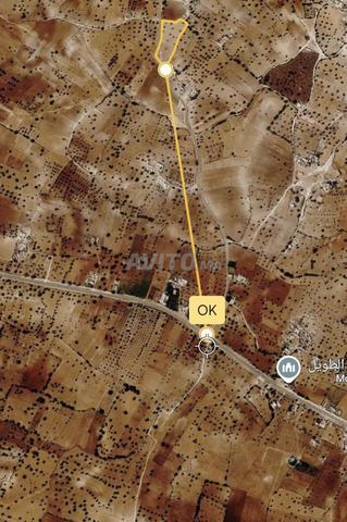 أرض فلاحية صالحة للبناء - 2