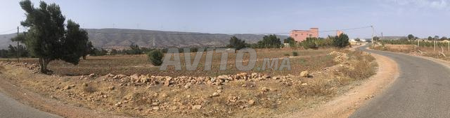 Terrain agricole constructible - 2