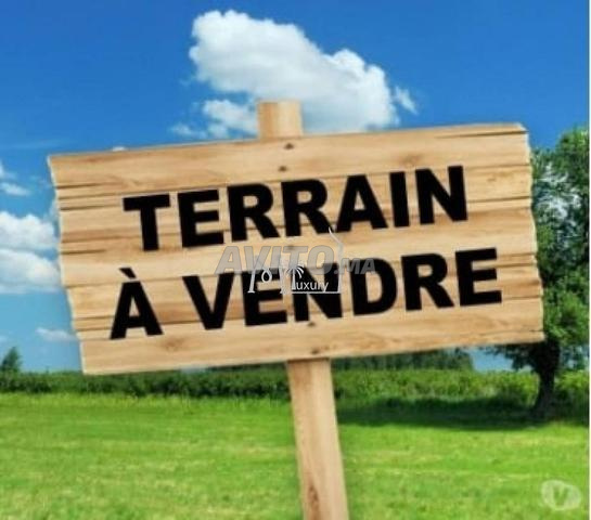 VENTE DE TERRAIN POUR LOTISSEMENT - 2