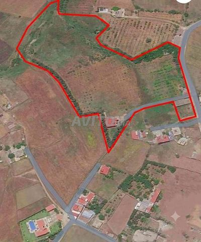 TERRAIN À VENDRE LIXUS LARACHE périmètre urbain - 2