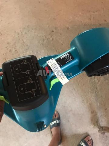 Seia Scooter