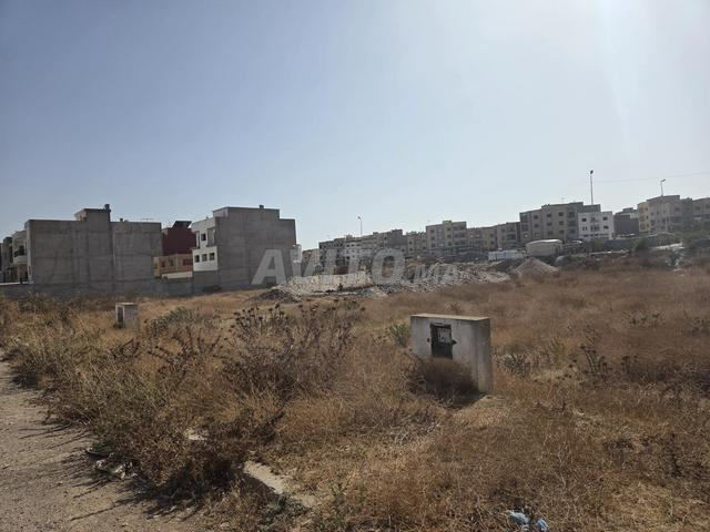 Terrain Villa titré Settat