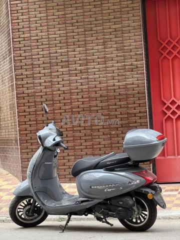 كابتشينو s 50cc - 2