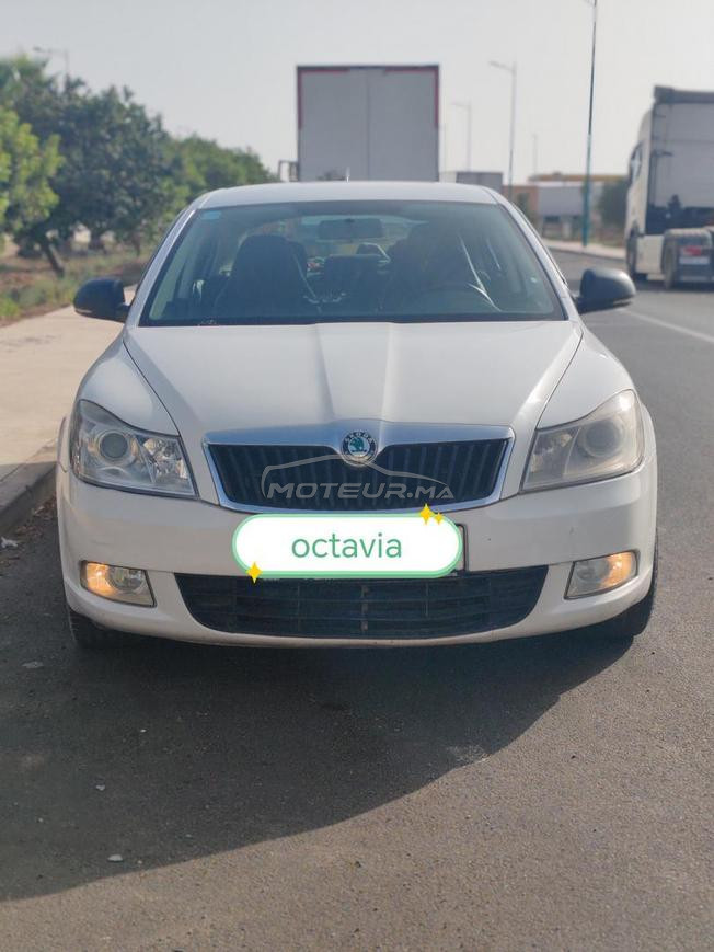 scoda octavia